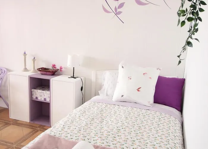 Gran Piso Con Parking Privado * Sabiñánigo